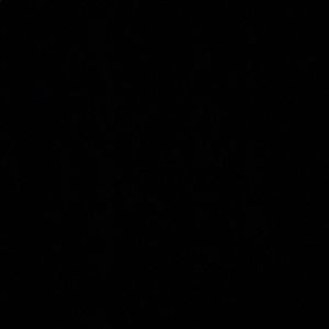 Meet your Posher, Ruben